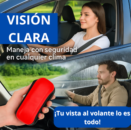 Cepillo De Limpieza Vidrio Empanado Sc